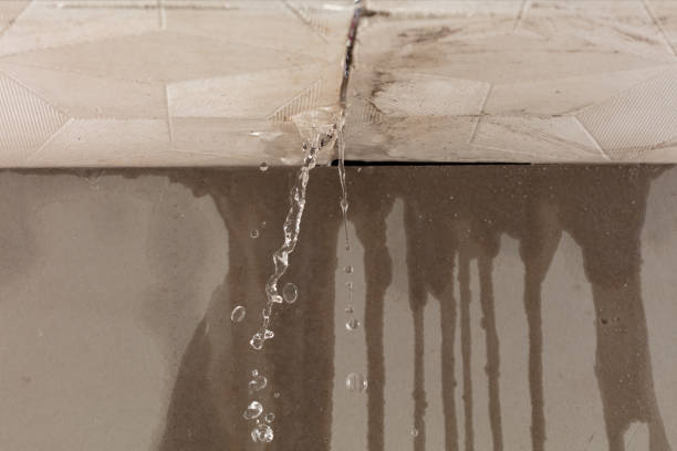 Professional Water Damage Repair technician working in Kings Park, NY